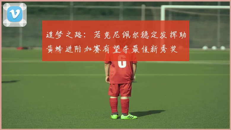 追梦之路：若克尼佩尔稳定发挥助黄蜂进附加赛有望夺最佳新秀奖