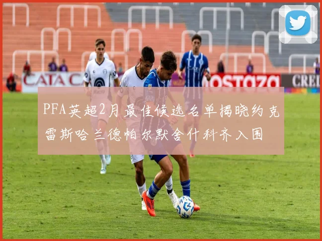 PFA英超2月最佳候选名单揭晓约克雷斯哈兰德帕尔默舍什科齐入围