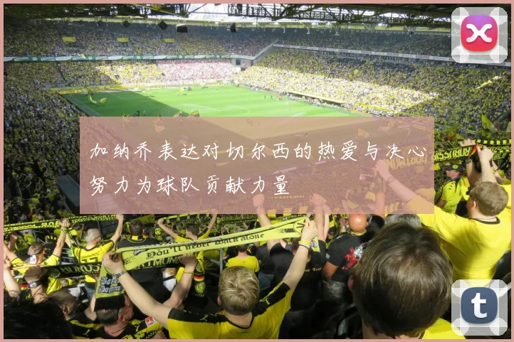 加纳乔表达对切尔西的热爱与决心努力为球队贡献力量